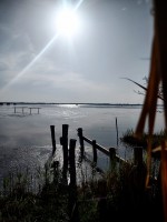 /album/galleria-foto-homepage2/img-20220326-160531672-hdr-2-1-jpg/